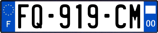 FQ-919-CM