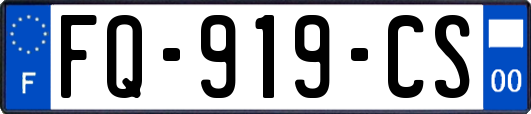 FQ-919-CS