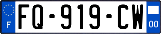 FQ-919-CW