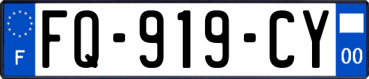FQ-919-CY