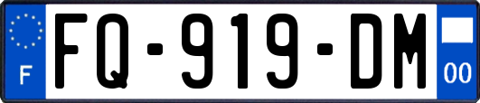 FQ-919-DM