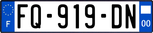 FQ-919-DN
