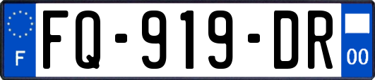 FQ-919-DR
