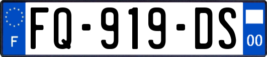 FQ-919-DS
