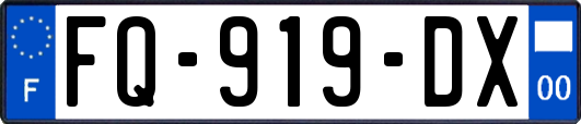 FQ-919-DX