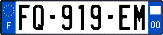 FQ-919-EM