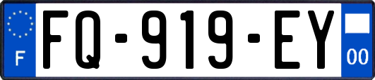 FQ-919-EY