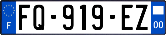 FQ-919-EZ