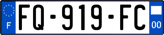 FQ-919-FC
