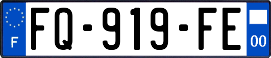 FQ-919-FE