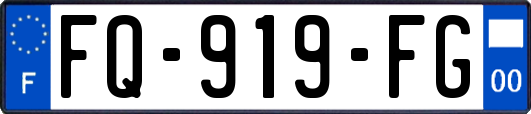 FQ-919-FG