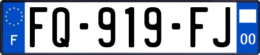 FQ-919-FJ