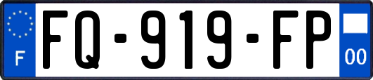 FQ-919-FP