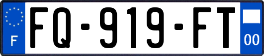 FQ-919-FT