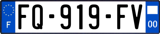 FQ-919-FV