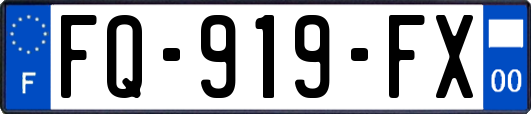 FQ-919-FX