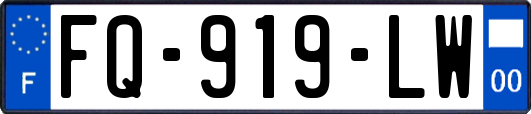 FQ-919-LW