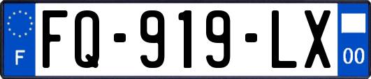 FQ-919-LX