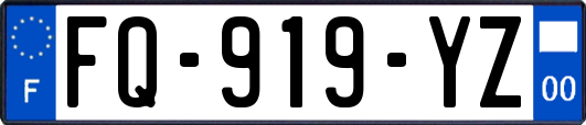 FQ-919-YZ