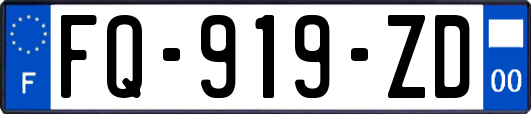 FQ-919-ZD