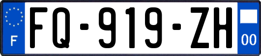 FQ-919-ZH