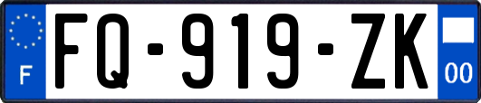 FQ-919-ZK