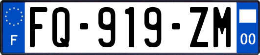 FQ-919-ZM