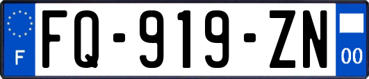FQ-919-ZN