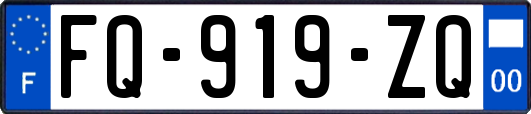 FQ-919-ZQ
