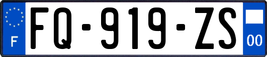 FQ-919-ZS