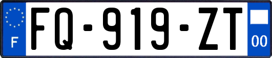FQ-919-ZT