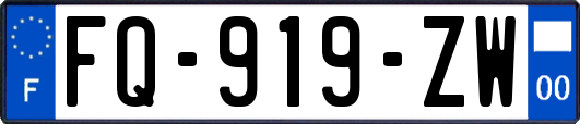 FQ-919-ZW