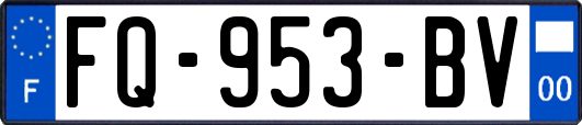 FQ-953-BV