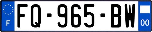 FQ-965-BW