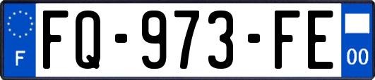 FQ-973-FE