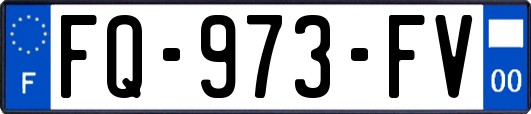 FQ-973-FV