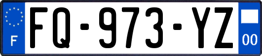 FQ-973-YZ