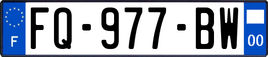 FQ-977-BW