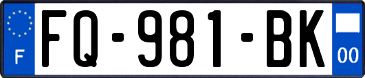 FQ-981-BK