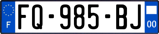 FQ-985-BJ