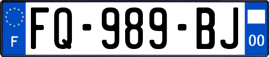 FQ-989-BJ