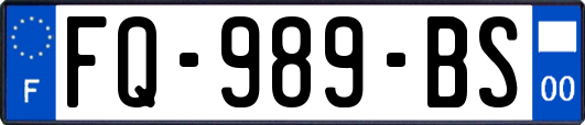 FQ-989-BS