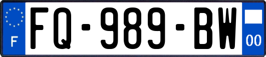 FQ-989-BW