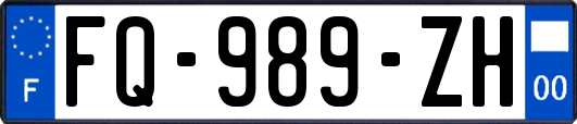 FQ-989-ZH