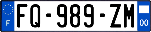 FQ-989-ZM