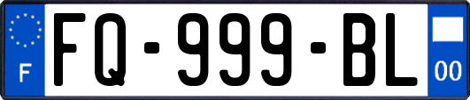 FQ-999-BL
