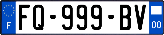 FQ-999-BV