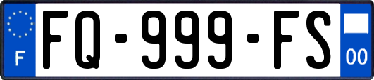FQ-999-FS