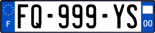FQ-999-YS