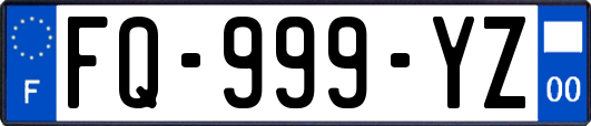 FQ-999-YZ